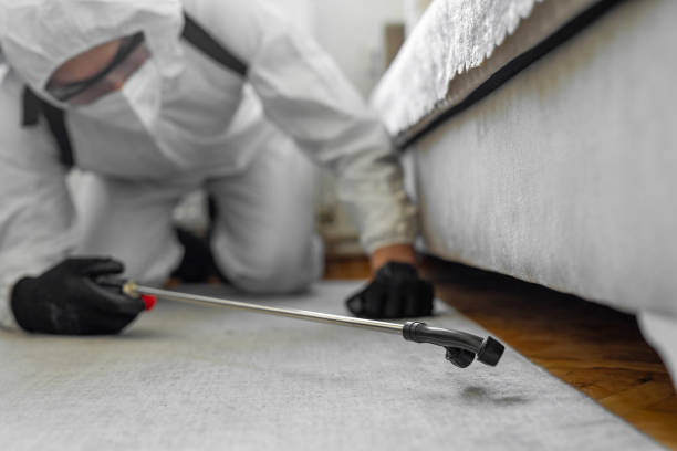 Professional Bed Bug Control technician working in Muscle Shoals, AL