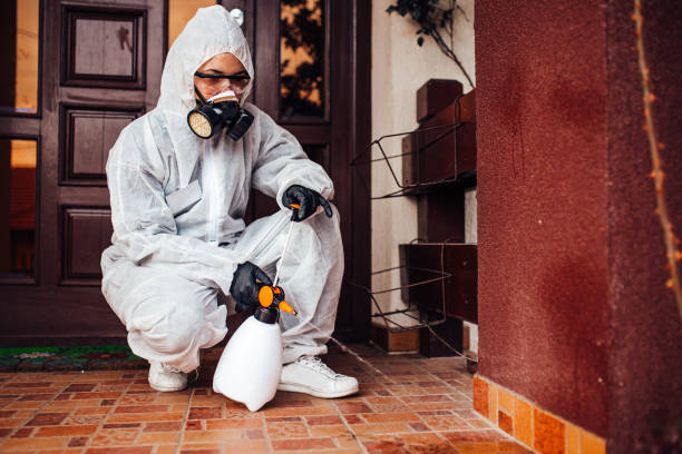 Reliable Bed Bug Control contractor in Muscle Shoals, AL by Nex Pest Control