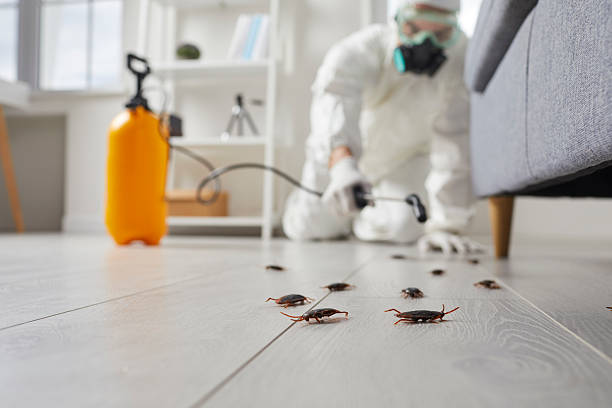 Trusted Bed Bug Control service in Muscle Shoals, AL - Nex Pest Control