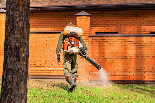 Trusted Rodent Control service in Muscle Shoals, AL - Nex Pest Control